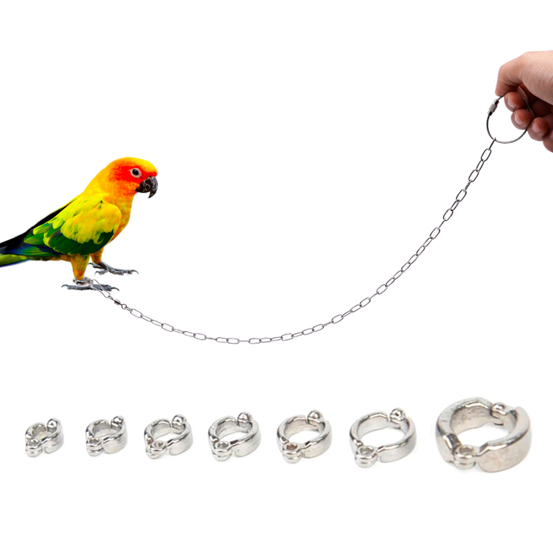Anello per gamba di pappagallo - Anklet Foot Chain recensione e prezzo
