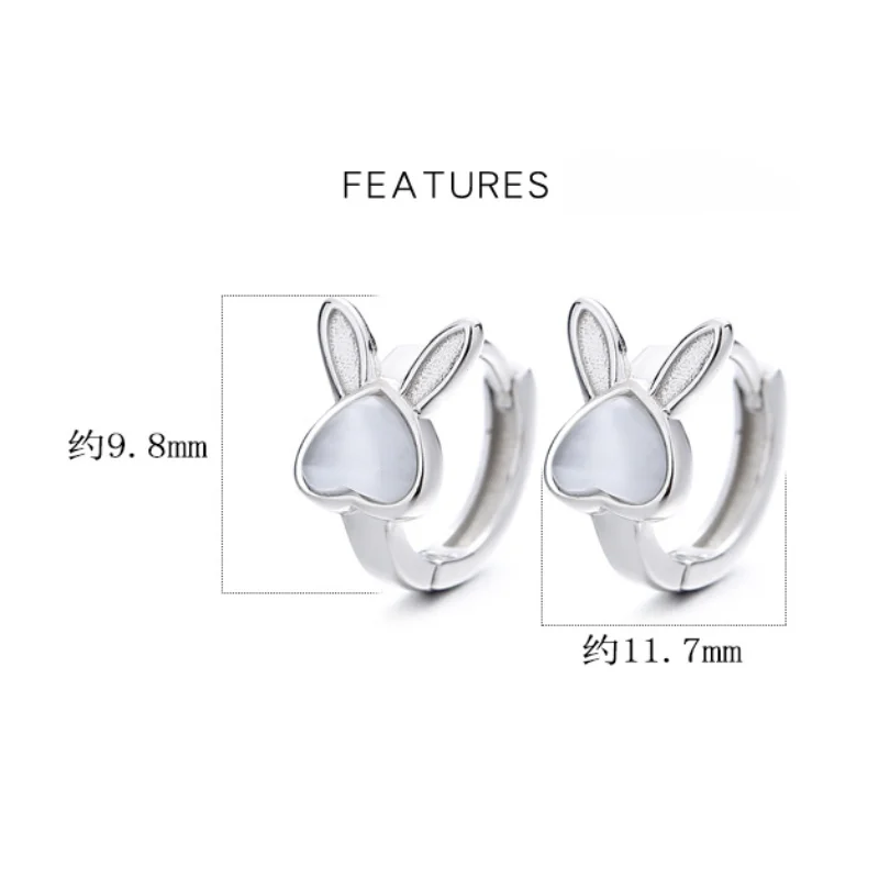 Orecchini a cerchio zodiacali  - Opal Earrings Dangle recensione e prezzo
